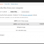 Subir múltiples archivos de un tirón en tu plugin de Worpress con el cargador de Wordpress