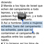 Santa Biblia iPhone 3